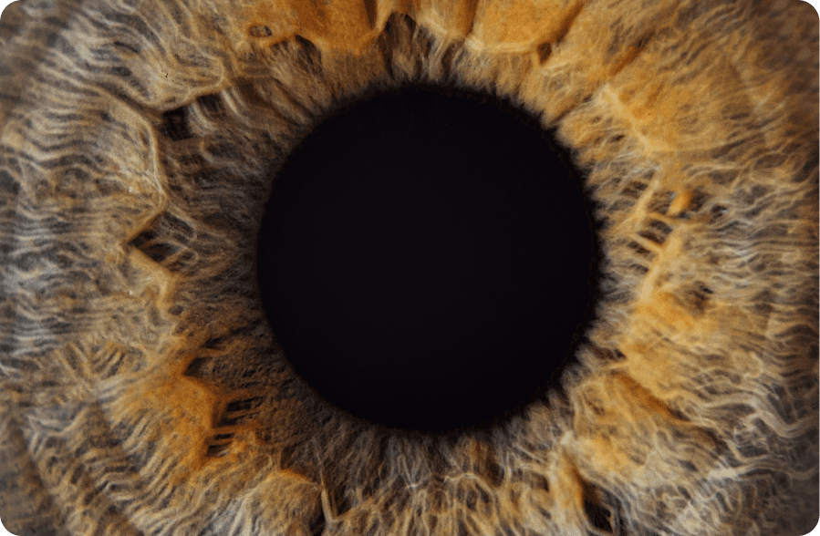 content with image image