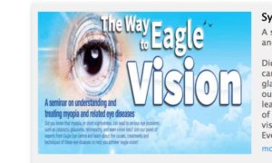 Eagle-Vision